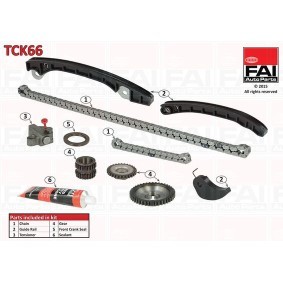 Steuerkettensatz TCK66 von FAI AutoParts günstig für 131,20 € online kaufen