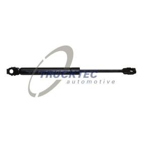 Compre Amortecedor de capô de TRUCKTEC AUTOMOTIVE online para 5 Sedan (E34) a preços moderados