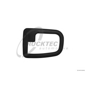 Türgriffrahmen für BMW von TRUCKTEC AUTOMOTIVE
