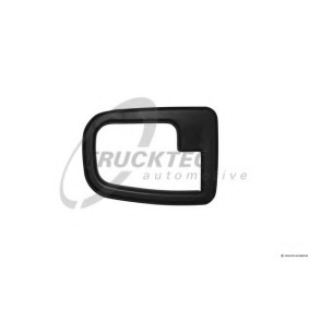 Türgriffrahmen für BMW von TRUCKTEC AUTOMOTIVE
