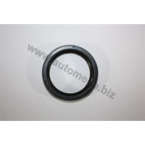 Acquista Anello tenuta, Differenziale da AUTOMEGA 303010189020T a buon mercato per soli 3,74 €