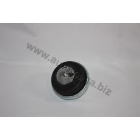 Motorlager 3006840173 von AUTOMEGA günstig für 14,95 € online kaufen