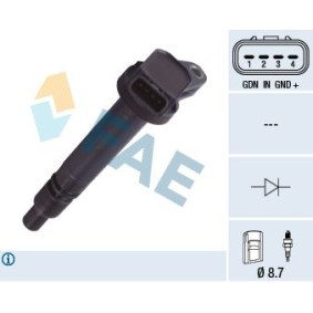 Rückfahrschalter 41304 von FAE günstig für 17,61 € online kaufen