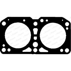 Acquista Guarnizione testata da PAYEN BT340 a buon mercato per soli 32,62 €
