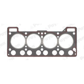 Compre Junta, cabeça do motor da PAYEN BV190 a um preço baixo por 23,57 €