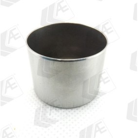 Hydrostößel für RENAULT von AE