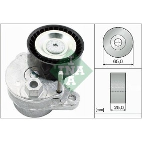 Compre Tensor da correia do alternador de INA online para Classe S Coupe (C217) a preços moderados