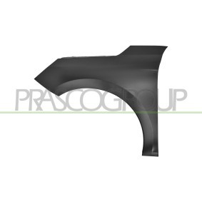 Acquista Copertura, Specchio esterno da PRASCO MZ8067415 a buon mercato per soli 19,88 €