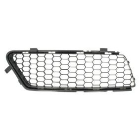 Acquista Griglia paraurti da BLIC 6502-07-0111924Q a buon mercato per soli 28,29 €