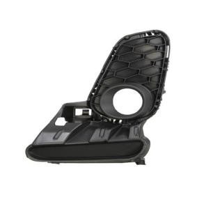Lüftungsgitter, Stoßfänger 6502-07-3477923P von BLIC günstig für 12,24 € online kaufen