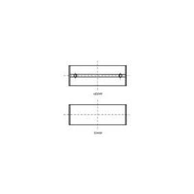 Kurbelwellenlagersatz 77753620 von KOLBENSCHMIDT günstig für 27,89 € online kaufen