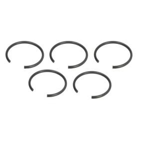 Druckring von PASCAL