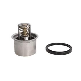Achetez des Thermostat d'eau THERMOTEC D2RV004TT à prix pour 75,50 €