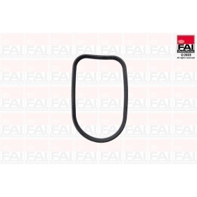 Osta FAI AutoParts Öljypumppu netistä CAPRI II (GECP)-mallille edulliseen hintaan