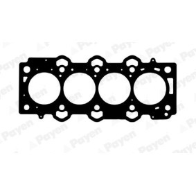 Acquista Guarnizione testata da PAYEN AG7870 a buon mercato per soli 127,21 €