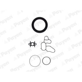 Acquista Kit guarnizioni, Monoblocco da PAYEN ED5800 a buon mercato per soli 63,29 €