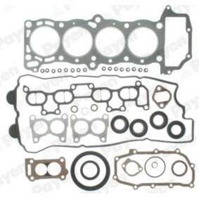 Dichtungsvollsatz, Motor von PAYEN