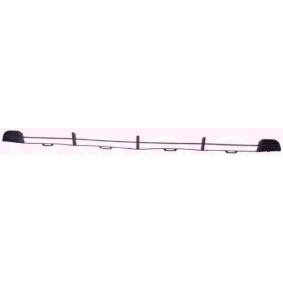 Lüftungsgitter, Stoßfänger 2555911 von KLOKKERHOLM günstig für 21,09 € online kaufen