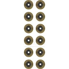 Dichtungssatz, Ventilschaft 12-54269-01 von REINZ günstig für 41,74 € online kaufen