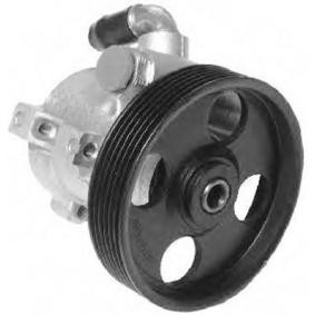 Achetez des Pompe de direction assistée GENERAL RICAMBI PI0105 à prix pour 145,23 €