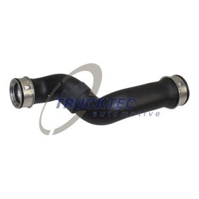 Acquista Puleggia cinghia albero a gomiti da TRUCKTEC AUTOMOTIVE 02.11.050 a buon mercato per soli 232,47 €