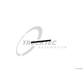 Zierleisten des Herstellers TRUCKTEC AUTOMOTIVE - Originalware Artikelnummer: 02.52.116