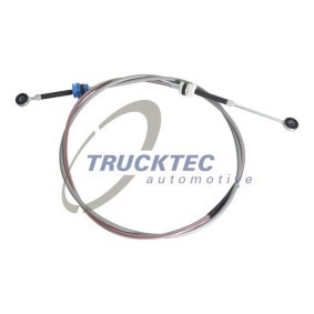 Acquista Radiatore olio cambio automatico da TRUCKTEC AUTOMOTIVE online per Classe C T-modell (S202) a prezzi moderati