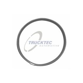 Comprar Junta, carcasa de colector de admisión de TRUCKTEC AUTOMOTIVE 08.13.002 a bajo precio de 14,61 €