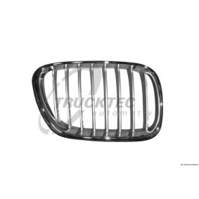 Kühlergrill 08.62.345 von TRUCKTEC AUTOMOTIVE günstig für 21,50 € online kaufen