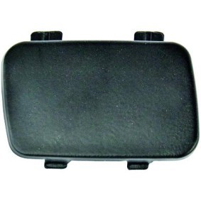 Klappe, Abschlepphaken 1280154 von DIEDERICHS günstig für 18,15 € online kaufen