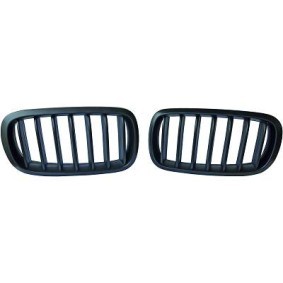 Compre Grelha de DIEDERICHS online para X6 (F16, F86) a preços moderados