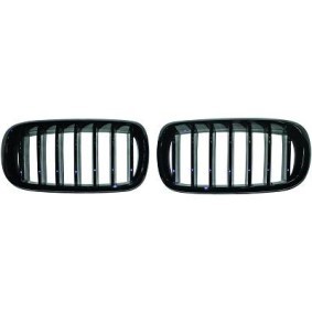 Compre Grelha de DIEDERICHS online para X6 (F16, F86) a preços moderados