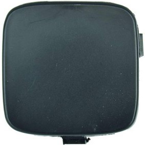 Klappe, Abschlepphaken 1416666 von DIEDERICHS günstig für 13,67 € online kaufen