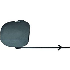 Klappe, Abschlepphaken 3435063 von DIEDERICHS günstig für 14,12 € online kaufen