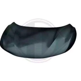 Motorhaube 6046800 von DIEDERICHS günstig für 243,33 € online kaufen