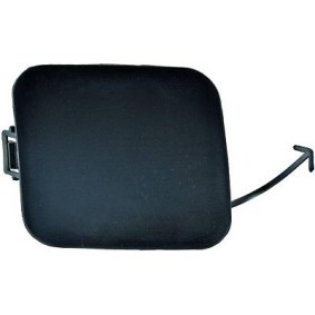 Klappe, Abschlepphaken 6660064 von DIEDERICHS günstig für 19,16 € online kaufen