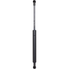Motorhaubendämpfer 9121404 von DIEDERICHS günstig für 36,38 € online kaufen