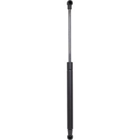 Motorhaubendämpfer 9121601 von DIEDERICHS günstig für 38,65 € online kaufen