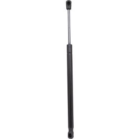 Compre Amortecedor de capô de DIEDERICHS online para X5 (E70) a preços moderados