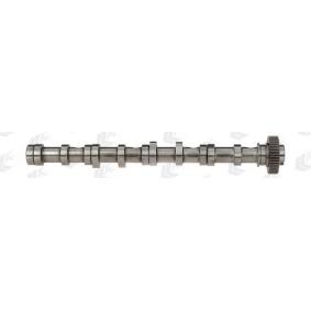 Nockenwelle CAM961 von AE günstig für 257,38 € online kaufen