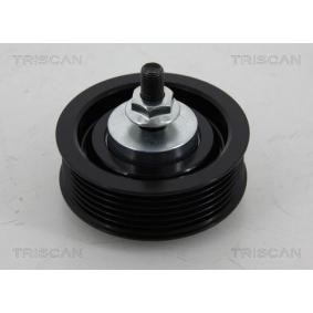 Umlenk- / Führungsrolle, Keilrippenriemen 8641 132010 von TRISCAN günstig für 111,75 € online kaufen