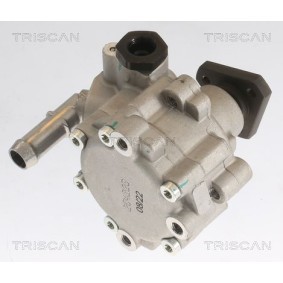 Acquista Accumulatore pressione, Sospensione / Ammortizzazione da TRISCAN 8760 38238 a buon mercato per soli 91,86 €
