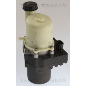 Acquista Accumulatore pressione, Sospensione / Ammortizzazione da TRISCAN 8760 38240 a buon mercato per soli 83,41 €