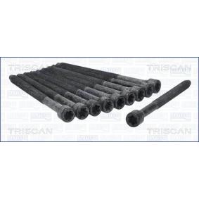 Zylinderkopfschraubensatz 98-8543 von TRISCAN günstig für 54,26 € online kaufen
