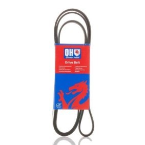 Keilrippenriemen QBR61842 von QUINTON HAZELL günstig für 24,80 € online kaufen