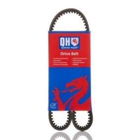 Compre Correia trapezoidal da QUINTON HAZELL QBA813 a um preço baixo por 9,21 €