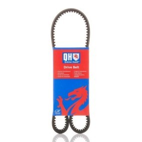 Compre Correia trapezoidal da QUINTON HAZELL QBA900 a um preço baixo por 9,39 €