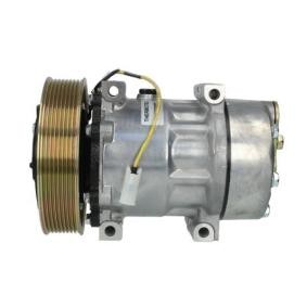 Acquista Compressore aria condizionata da THERMOTEC KTT090007 a buon mercato per soli 276,26 €