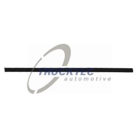 Zierleiste für die Tür für BMW von TRUCKTEC AUTOMOTIVE