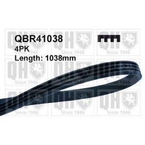 Compre Correia do alternador de QUINTON HAZELL online para Classe S Cabrio (A217) a preços moderados